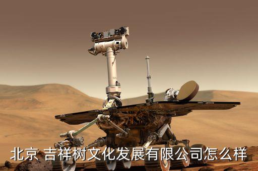 北京 吉祥树文化发展有限公司怎么样