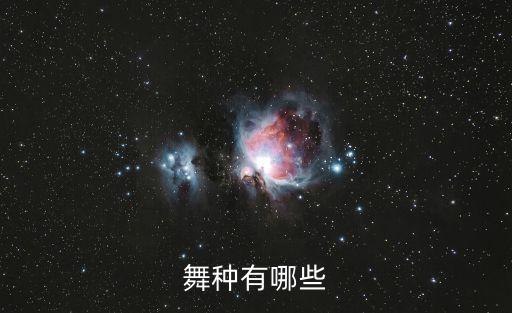 舞种有哪些