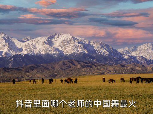 抖音里面哪个老师的中国舞最火