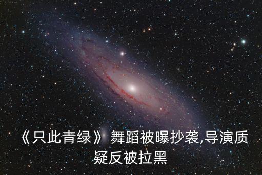 《只此青绿》 舞蹈被曝抄袭,导演质疑反被拉黑