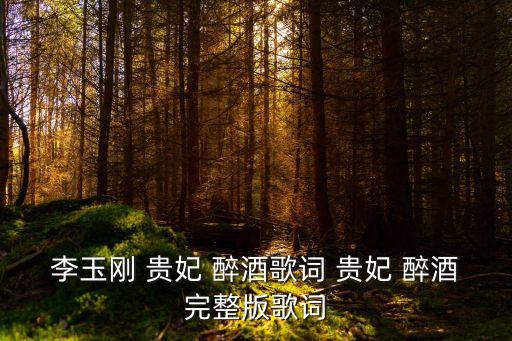 舞蹈《新贵妃醉酒》,李玉刚演唱《新贵妃醉酒》
