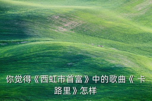 你觉得《西虹市首富》中的歌曲《 卡路里》怎样