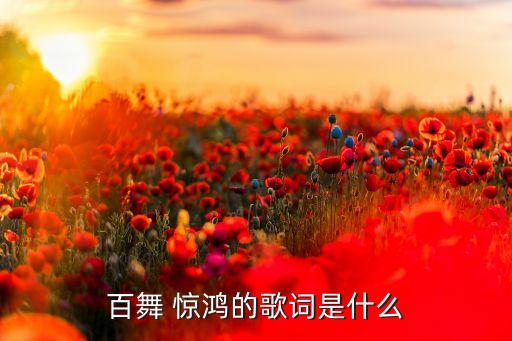 百舞 惊鸿的歌词是什么