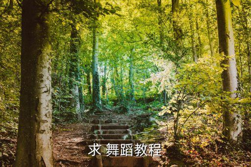 求 舞蹈教程