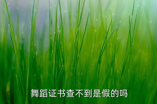  舞蹈证书查不到是假的吗