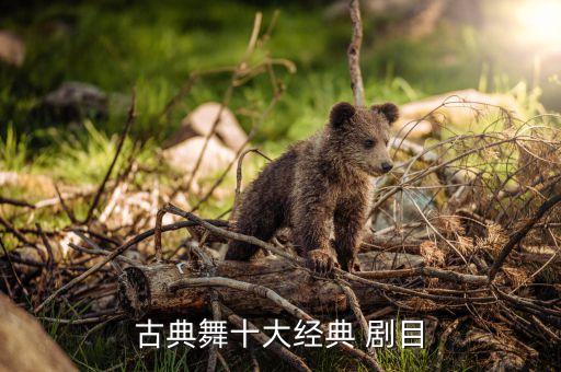 古典舞十大经典 剧目