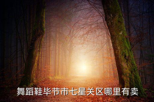  舞蹈鞋毕节市七星关区哪里有卖