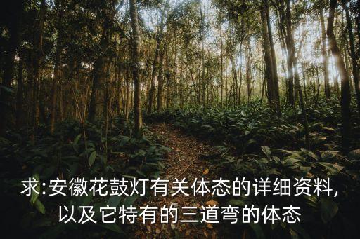 求:安徽花鼓灯有关体态的详细资料,以及它特有的三道弯的体态