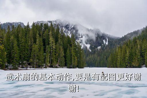 武术扇的基本动作,要是有配图更好谢谢!