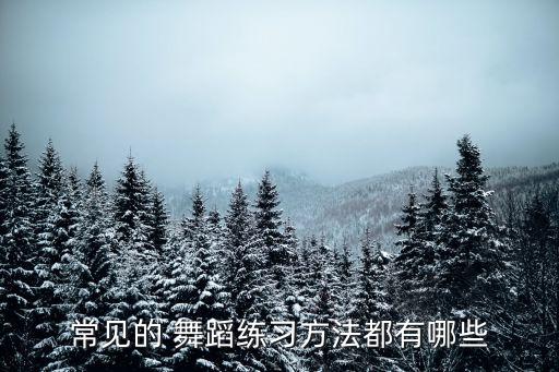 舞蹈控制训练方法,舞蹈前腿的训练方法和要求