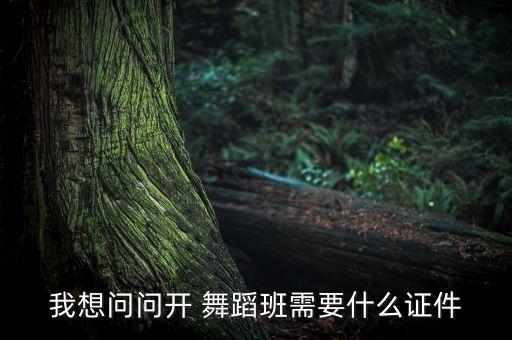 我想问问开 舞蹈班需要什么证件