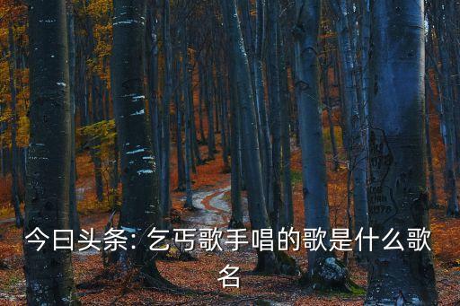 今曰头条: 乞丐歌手唱的歌是什么歌名