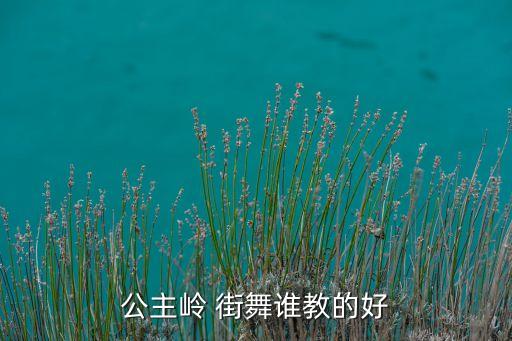 公主岭 街舞谁教的好