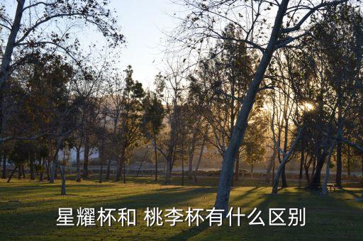 星耀杯和 桃李杯有什么区别