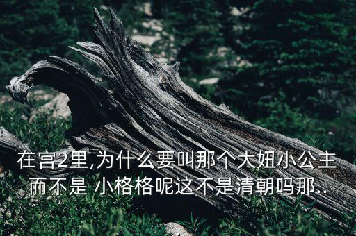 在宫2里,为什么要叫那个大妞小公主而不是 小格格呢这不是清朝吗那...