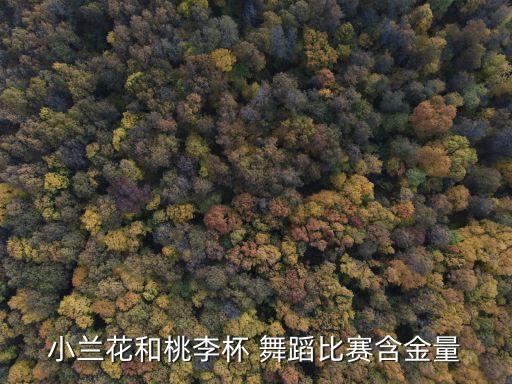 小兰花和桃李杯 舞蹈比赛含金量