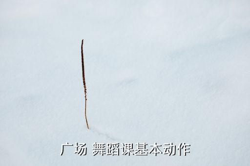广场 舞蹈课基本动作