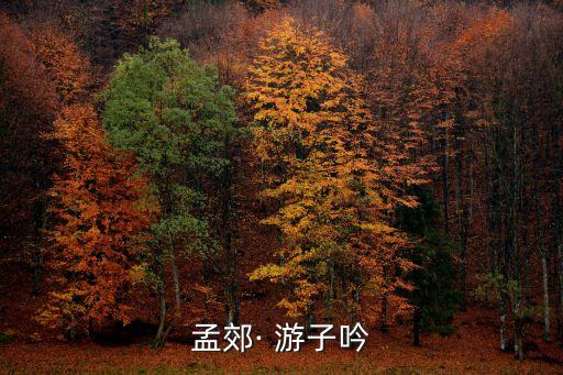 游子吟的歌曲加舞蹈视频