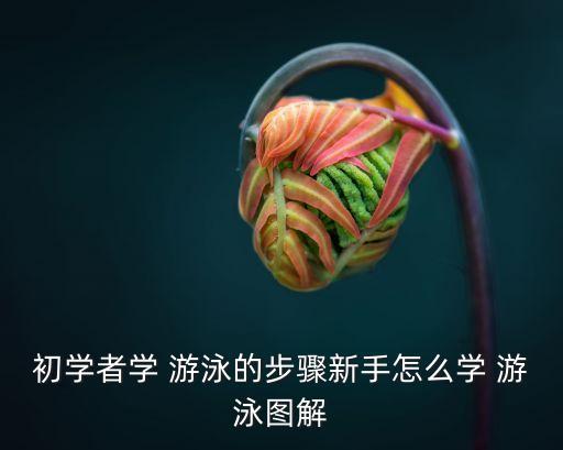 初学者学 游泳的步骤新手怎么学 游泳图解