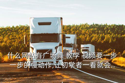 什么网站有广场舞 教学 视频要一步一步的慢动作,让初学者一看就会...