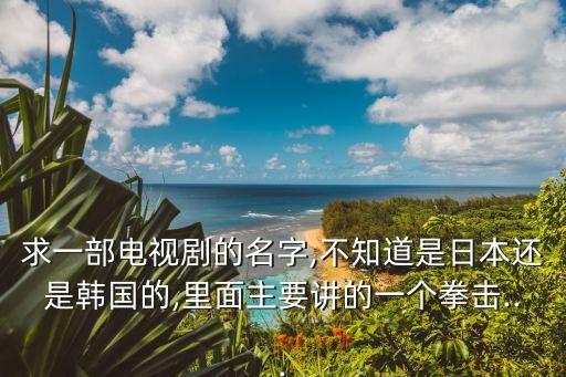 求一部电视剧的名字,不知道是日本还是韩国的,里面主要讲的一个拳击...