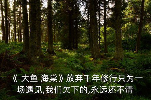 《 大鱼 海棠》放弃千年修行只为一场遇见,我们欠下的,永远还不清