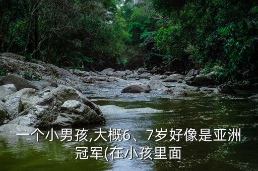 一个小男孩,大概6、7岁好像是亚洲冠军(在小孩里面