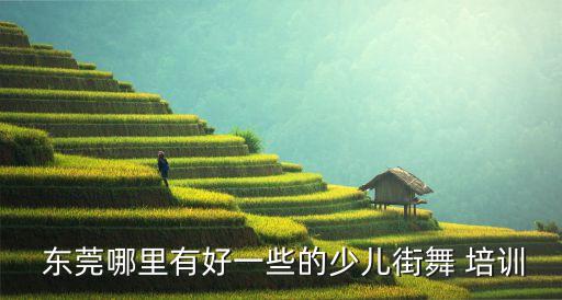  东莞哪里有好一些的少儿街舞 培训