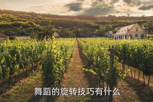 舞蹈技巧串翻