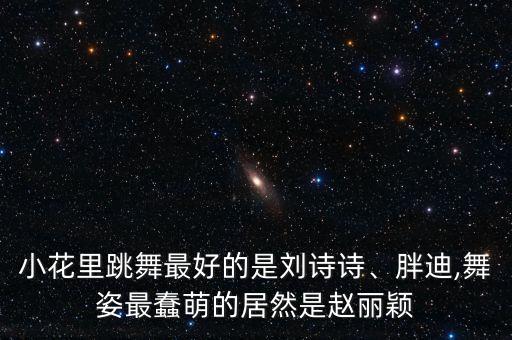 小花里跳舞最好的是刘诗诗、胖迪,舞姿最蠢萌的居然是赵丽颖