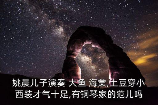 姚晨儿子演奏 大鱼 海棠,土豆穿小西装才气十足,有钢琴家的范儿吗