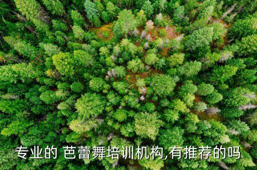 专业的 芭蕾舞培训机构,有推荐的吗