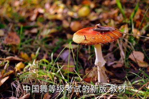 中国舞等级考试的新版 教材