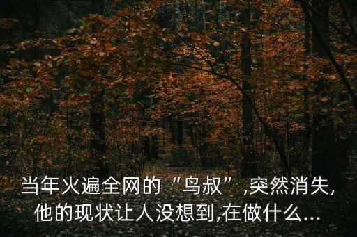 当年火遍全网的“鸟叔”,突然消失,他的现状让人没想到,在做什么...
