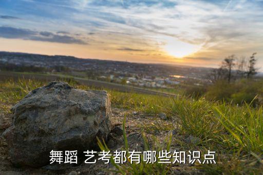  舞蹈 艺考都有哪些知识点