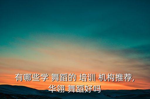 什么是舞蹈培训机构,什么舞蹈培训机构成人可以去学