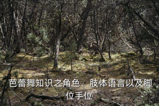 芭蕾手部舞蹈动作,芭蕾舞蹈动作名称及图解