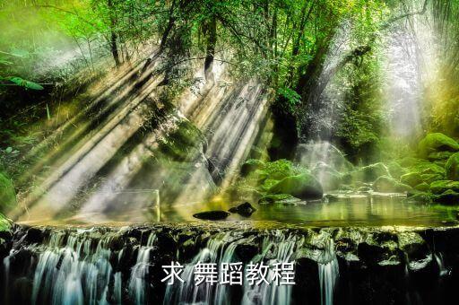 求 舞蹈教程
