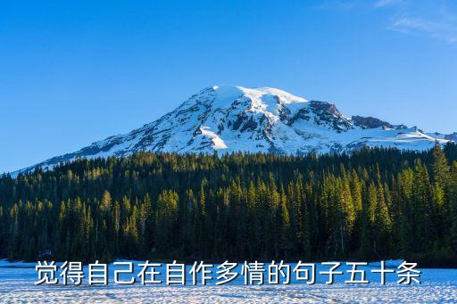 觉得自己在自作多情的句子五十条