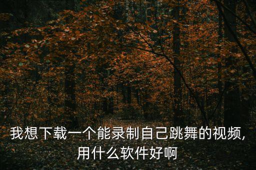 我想下载一个能录制自己跳舞的视频,用什么软件好啊