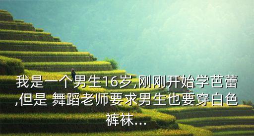芭蕾舞舞蹈服装初中,天鹅湖芭蕾舞舞蹈鉴赏