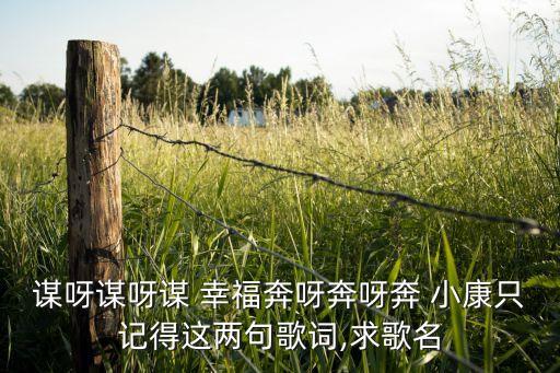 谋呀谋呀谋 幸福奔呀奔呀奔 小康只记得这两句歌词,求歌名