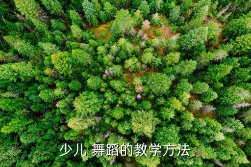少儿 舞蹈的教学方法