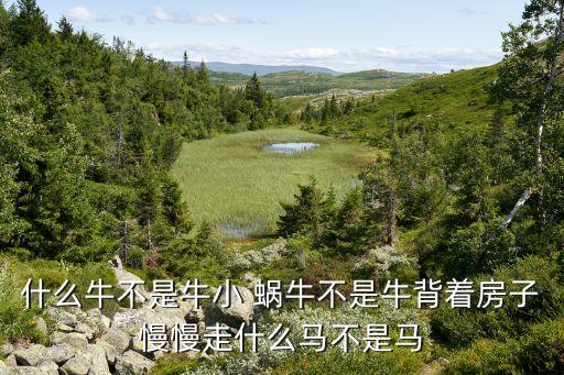 小蜗牛儿歌舞蹈,幼儿园小蜗牛儿歌