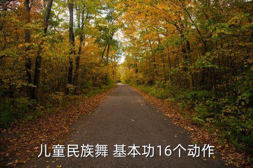 儿童民族舞 基本功16个动作