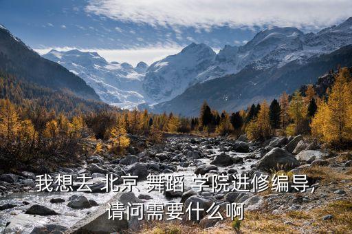 我想去 北京 舞蹈 学院进修编导,请问需要什么啊