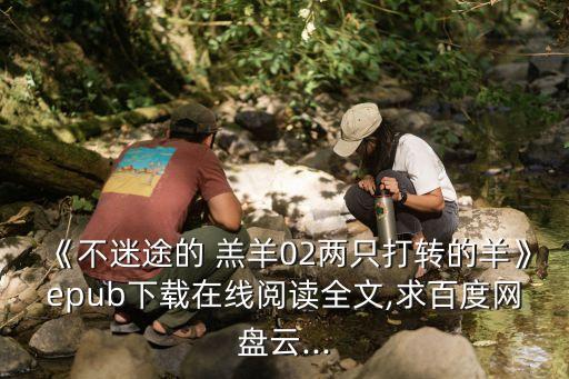 《不迷途的 羔羊02两只打转的羊》epub下载在线阅读全文,求百度网盘云...