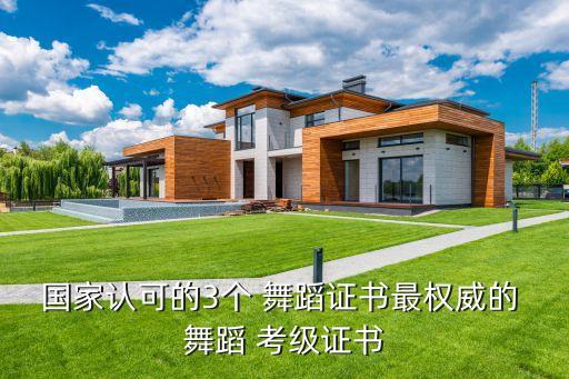 国家认可的3个 舞蹈证书最权威的 舞蹈 考级证书