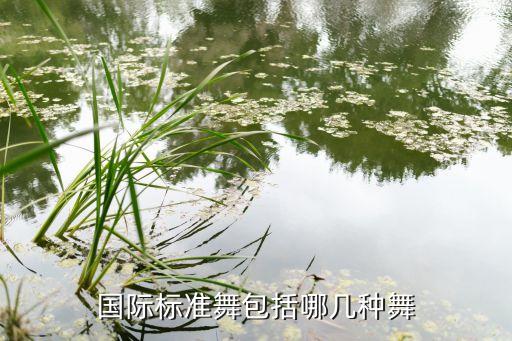 国际标准舞包括哪几种舞