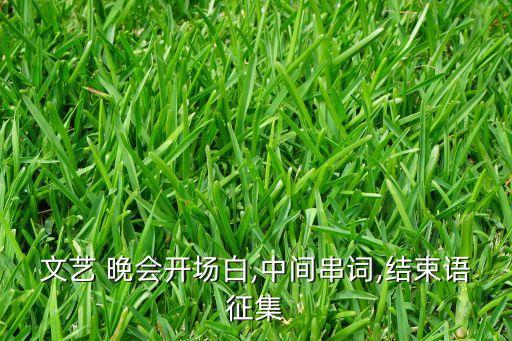 文艺 晚会开场白,中间串词,结束语征集